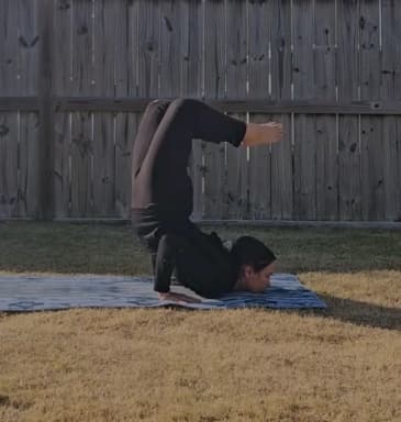 Person doing a forearm stand yoga pose in a backyard.